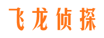 扶绥调查公司